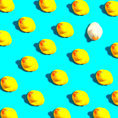 row of rubber ducks
